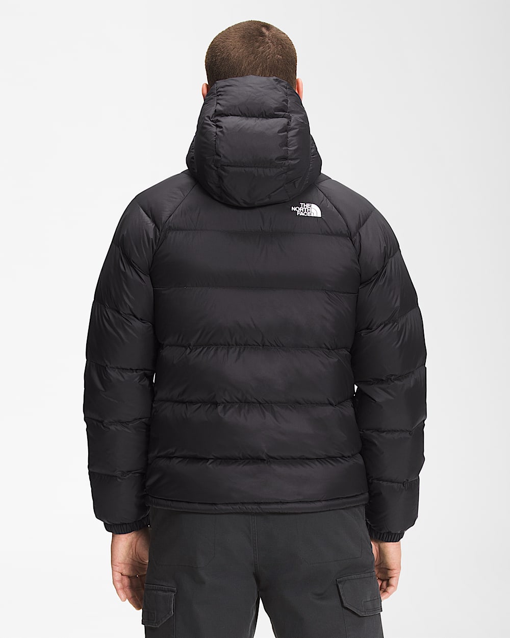 Mens Hydrenalite Down Hoodie TNF BACK
