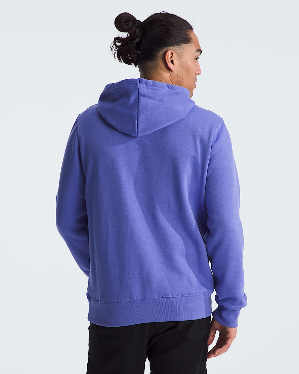 Mens Fine Alpine Hoodie TNF BACK