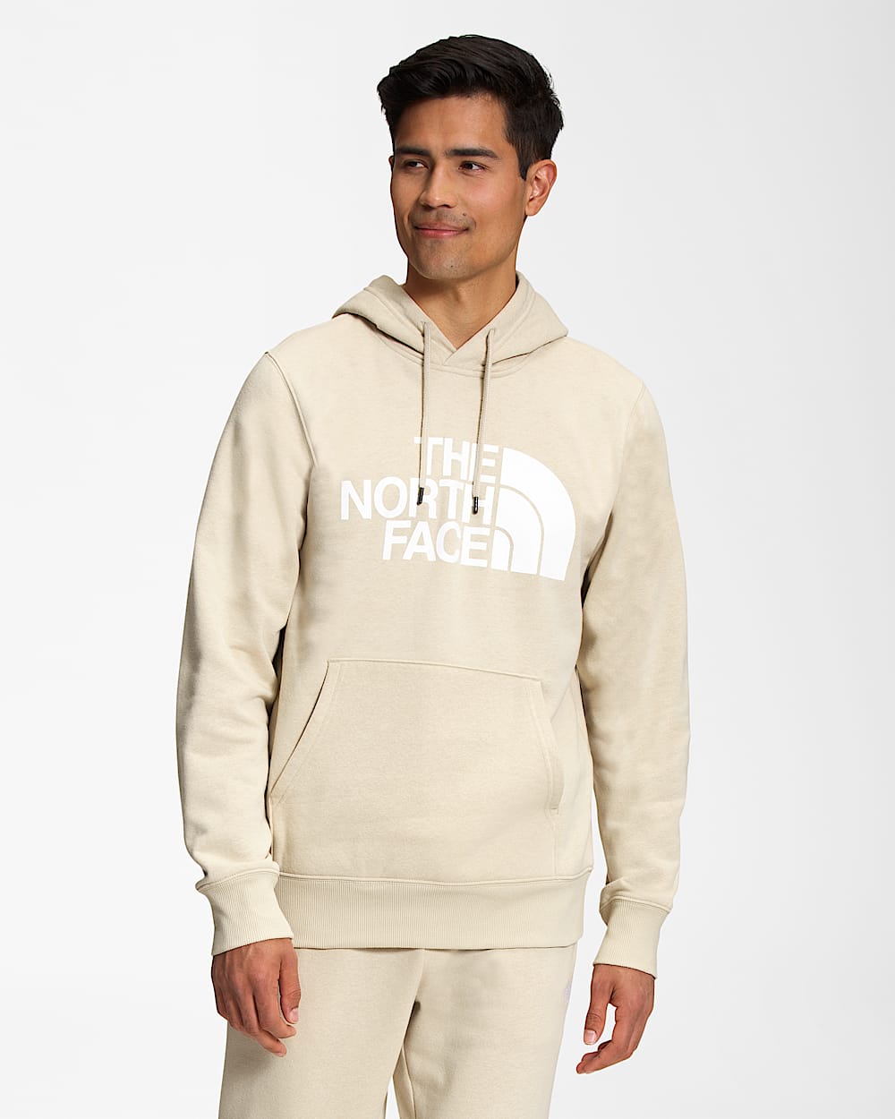 Mens Half Dome Pullover Hoodie TNF Main