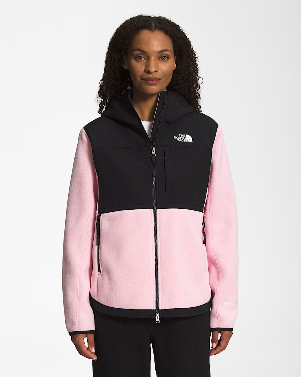Women's Denali Hoodie | The North Face Canada