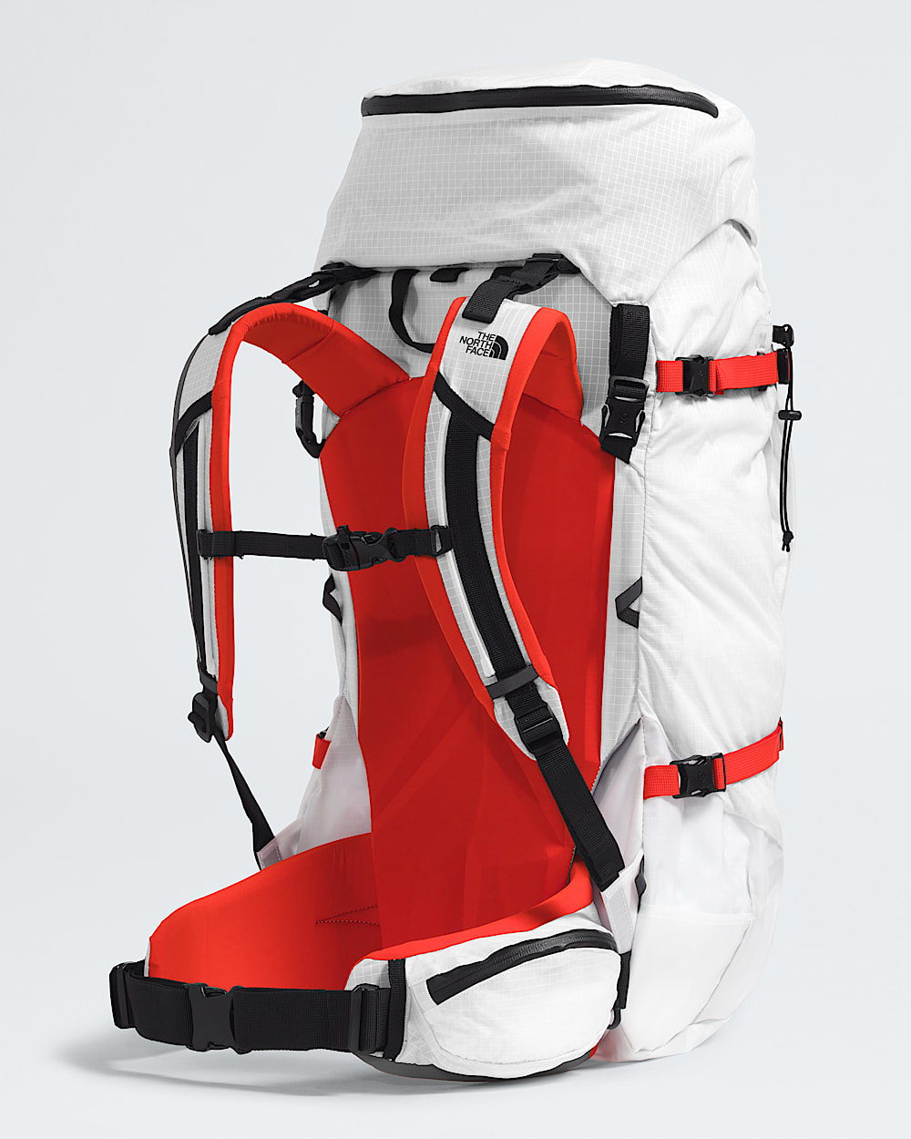 Cobra 65 Backpack TNF BACK