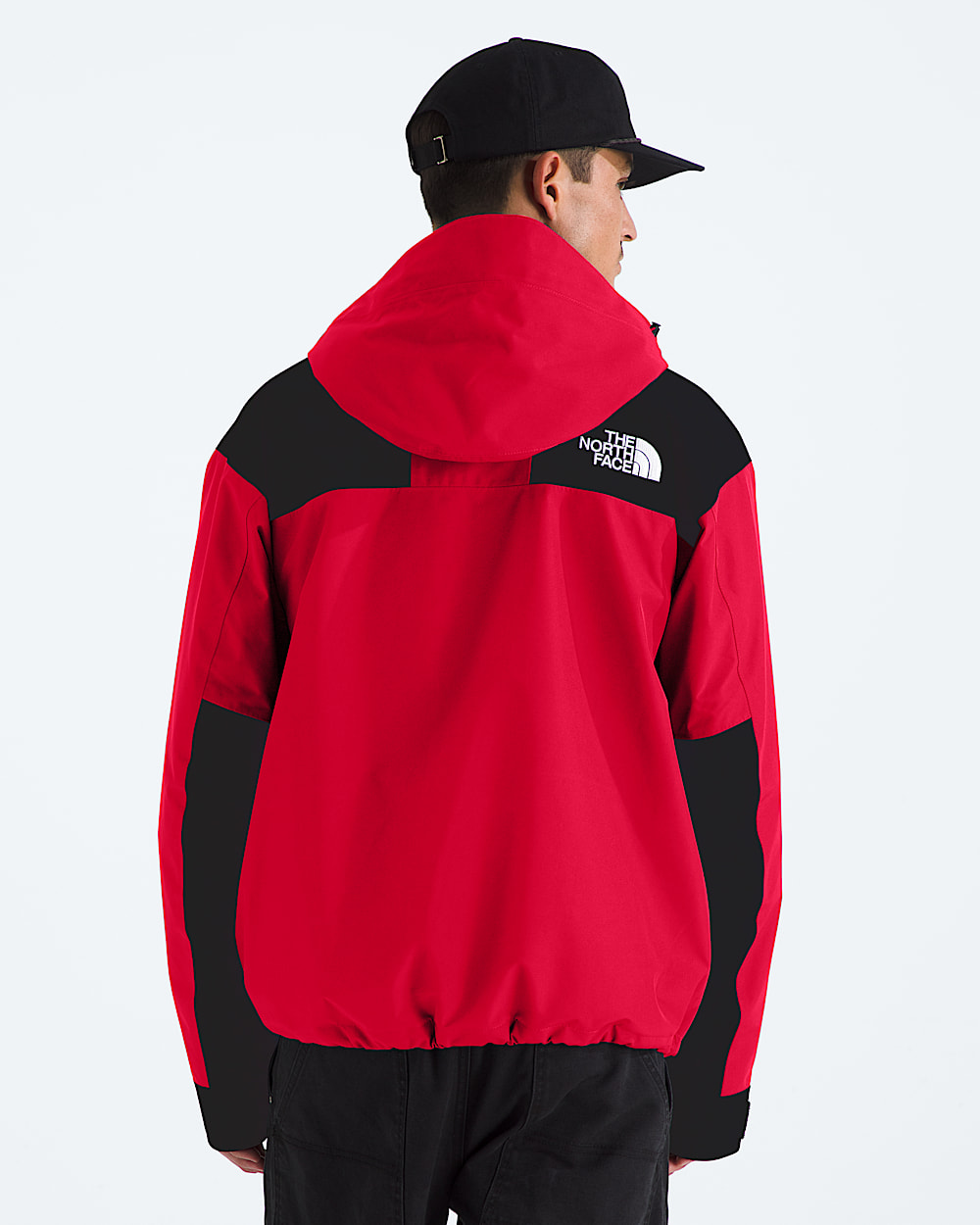 Mens GORETEX Mountain Jacket TNF BACK