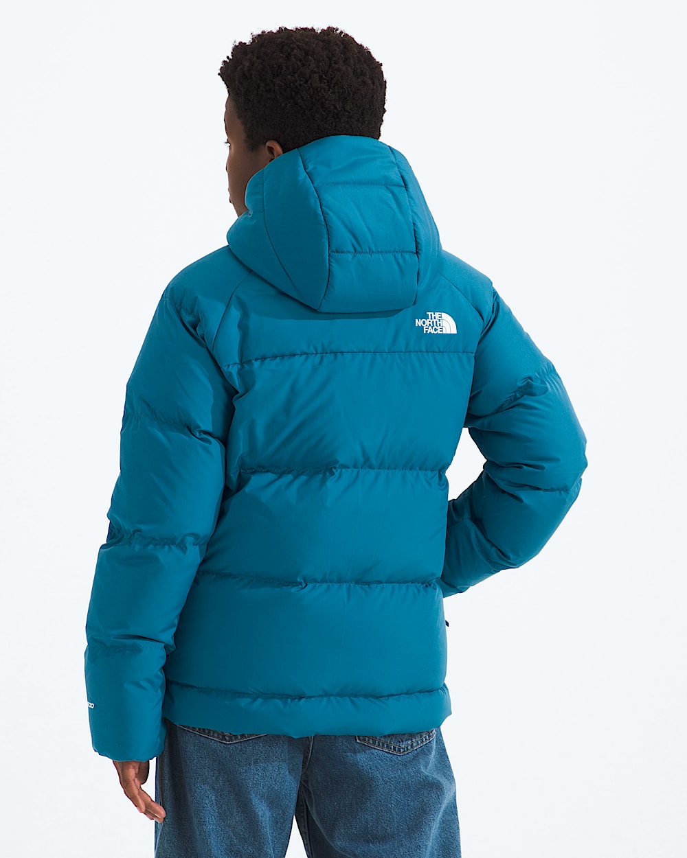 Boys North Down Hooded Jacket TNF BACK