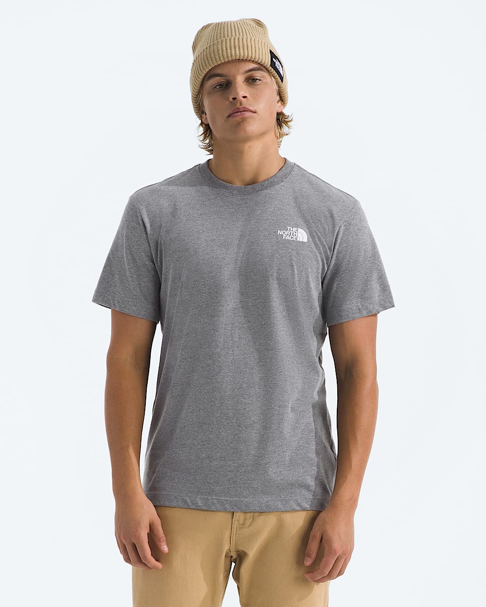 Mens Evolution Edge Of Light Box NSE ShortSleeve TeeGraphic TNF BACK
