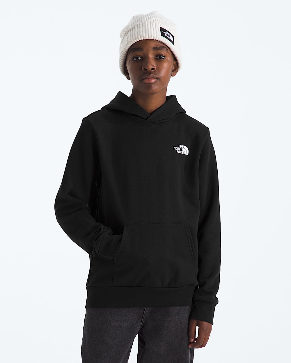 Boys  Girls Evolution Print Box NSE Pullover Hoodie TNF BACK