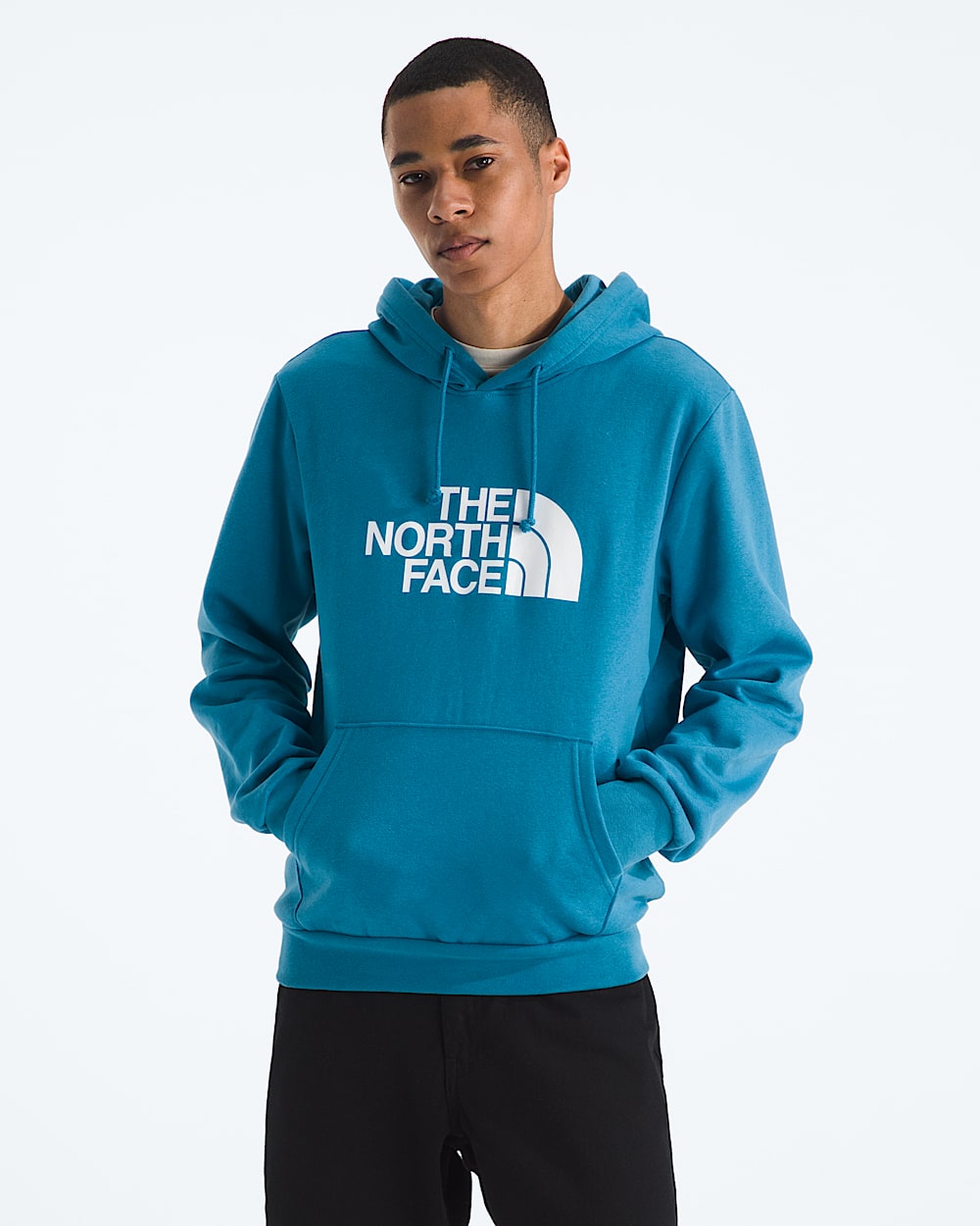 Mens Evolution Half Dome Regular Hoodie TNF Main