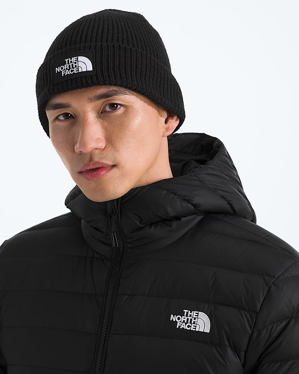 TNF Logo Box Cuffed Beanie TNF TNF Black MODELBACK