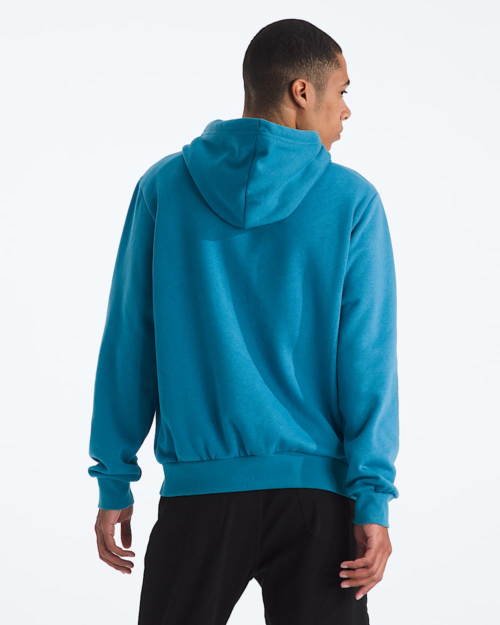 Mens Evolution Half Dome Regular Hoodie TNF BACK
