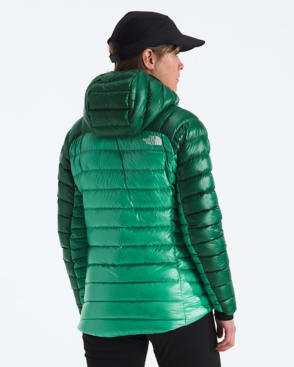 Chandail  capuche Breithorn Summit Series pour femmes TNF BACK
