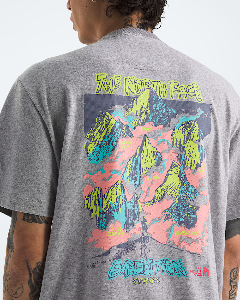 Mens TNF Essential Expedition Series ShortSleeve TeeGraphic TNF HERO2