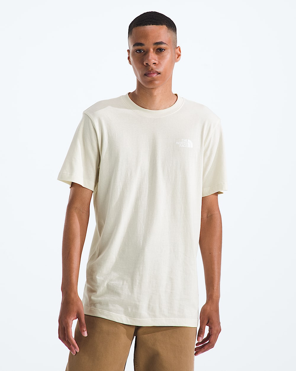 Mens Evolution Sun Halos Box NSE ShortSleeve TeeGraphic TNF BACK