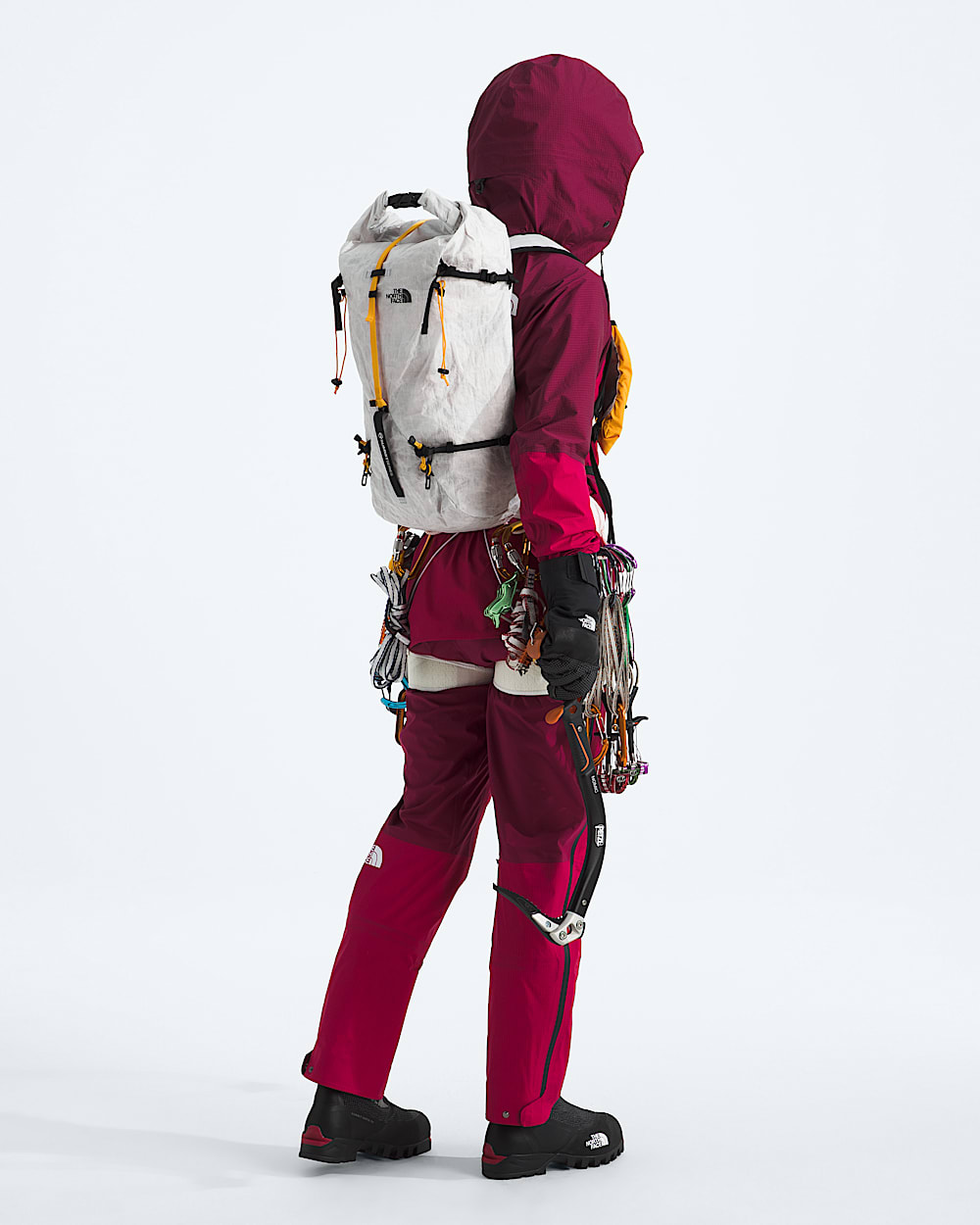 Summit Series Advanced Mountain Kit 25L Pack TNF ALT1