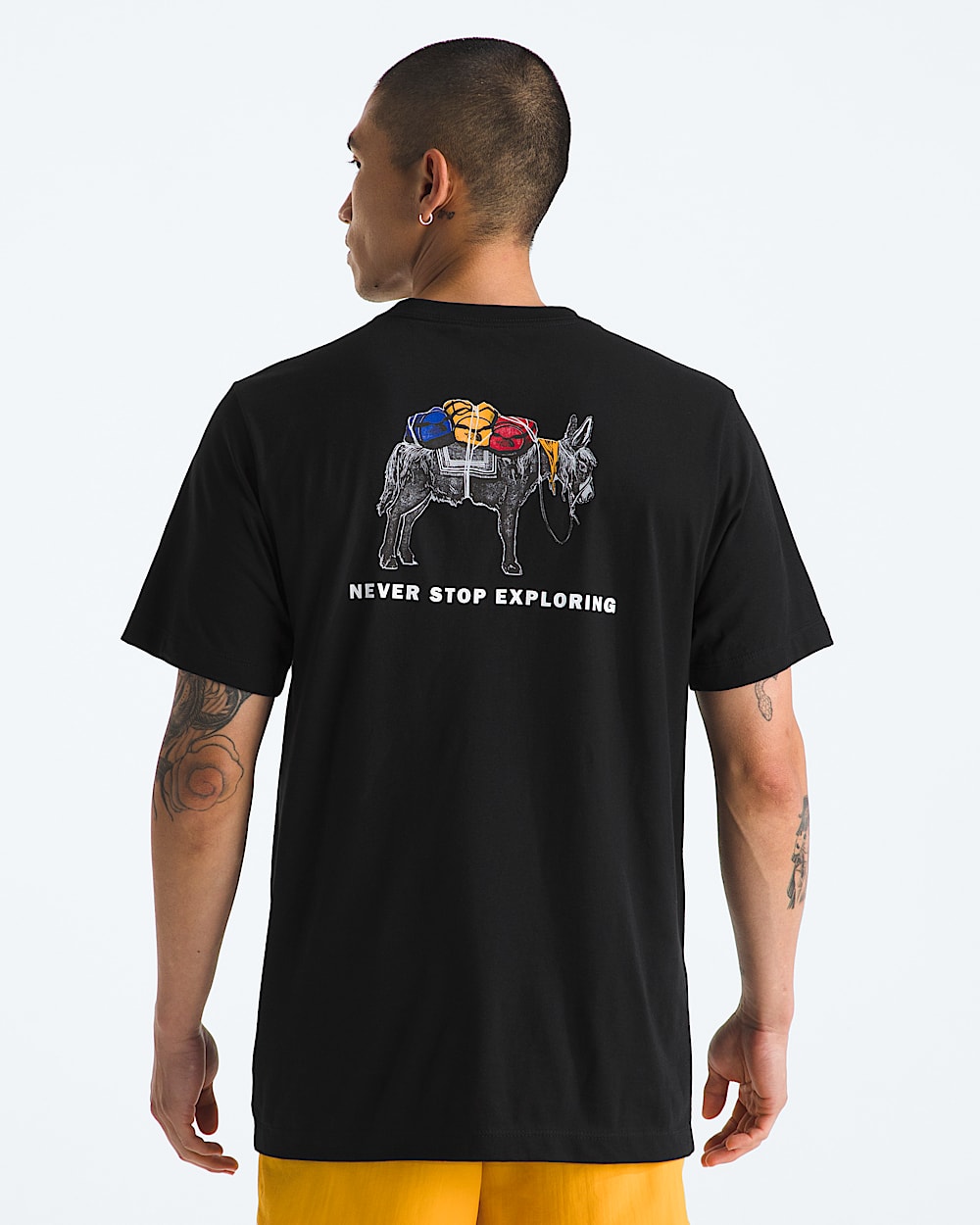 Men's Evolution Pack Short-Sleeve Tee—Graphic | The North Face