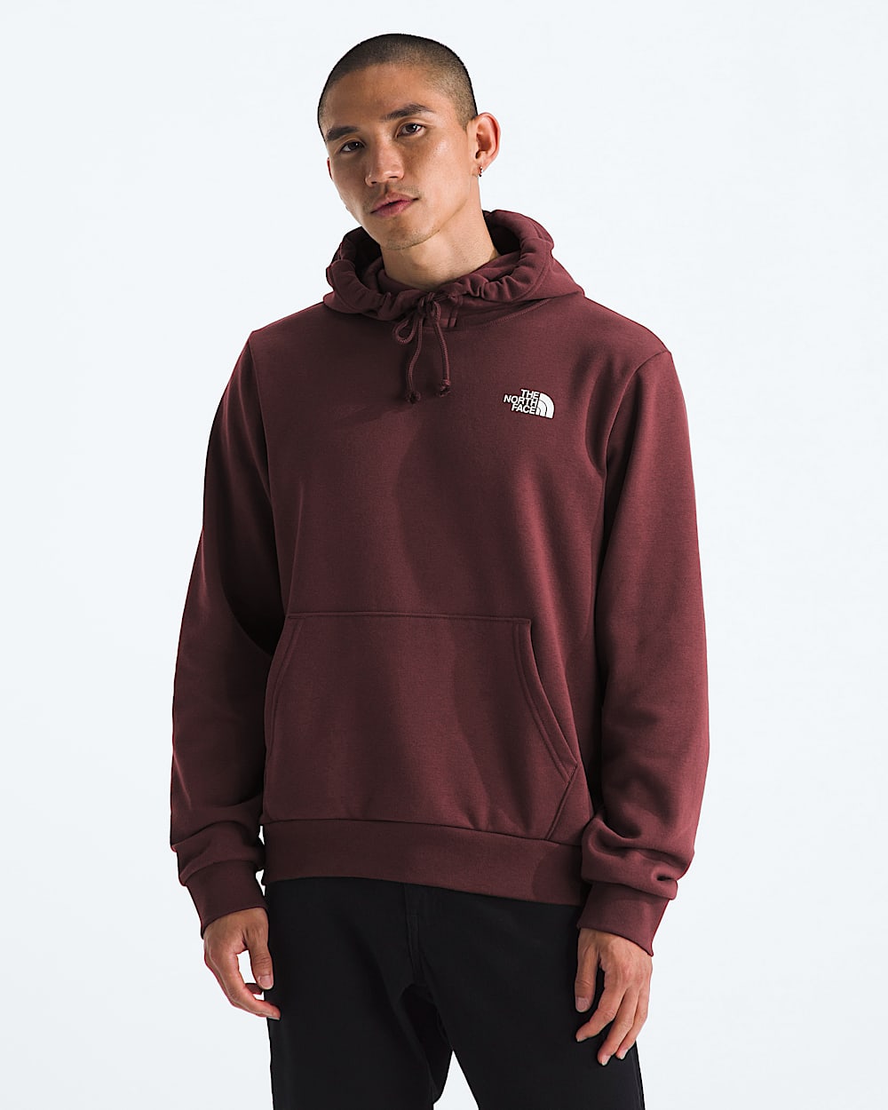 Mens Evolution Box Camo Fill HoodieGraphic TNF BACK