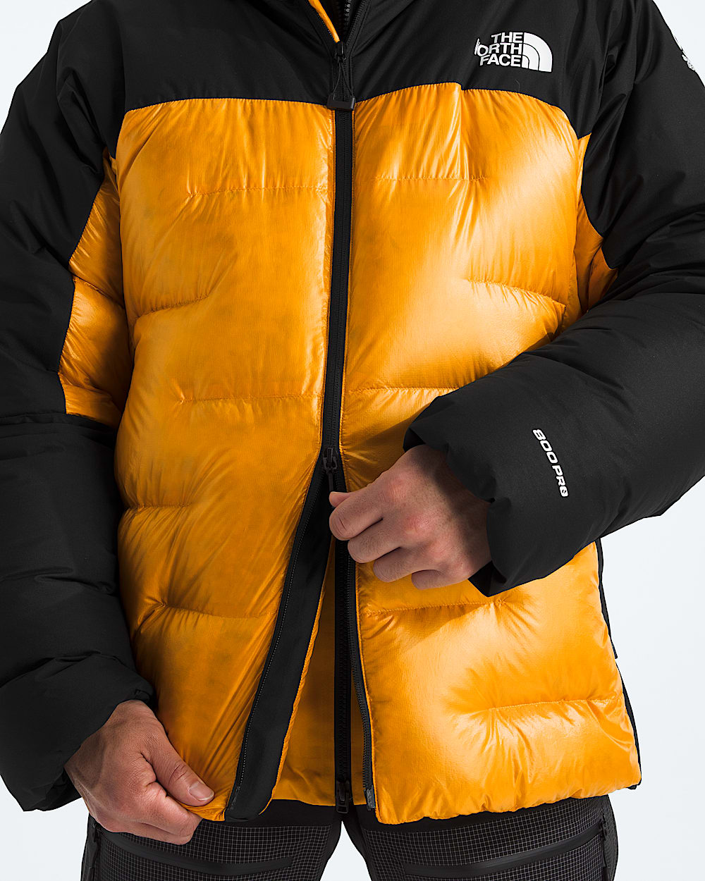 Mens Summit Series Himalayan Down Parka TNF ALT2