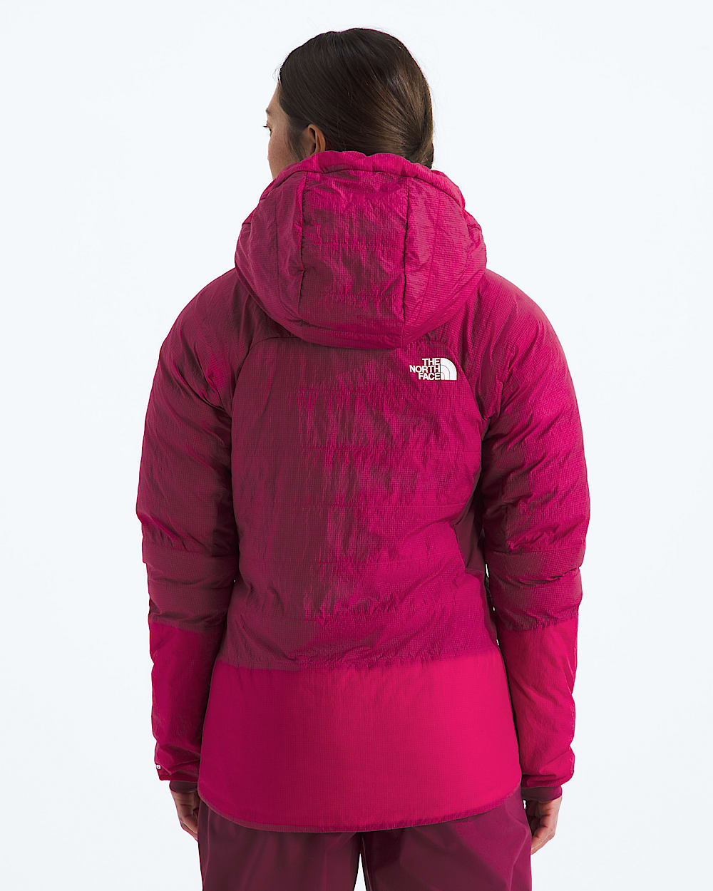 Womens Summit Series 5050 AMK Hoodie TNF BACK
