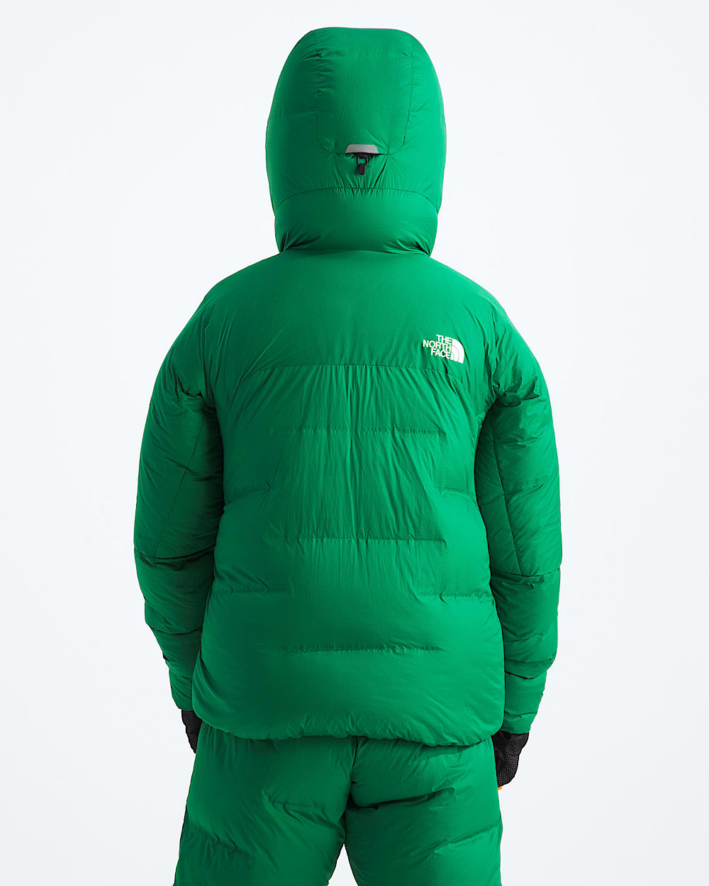 Mens Summit CLOUD DOWN AMK Parka TNF BACK