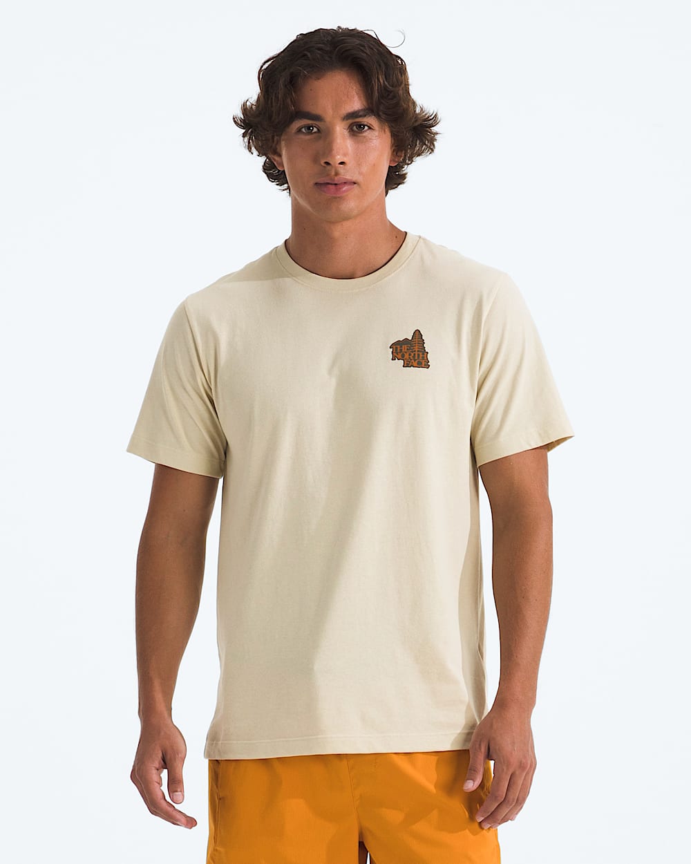 Mens Keep Climbin Regular ShortSleeve Tee TNF Main