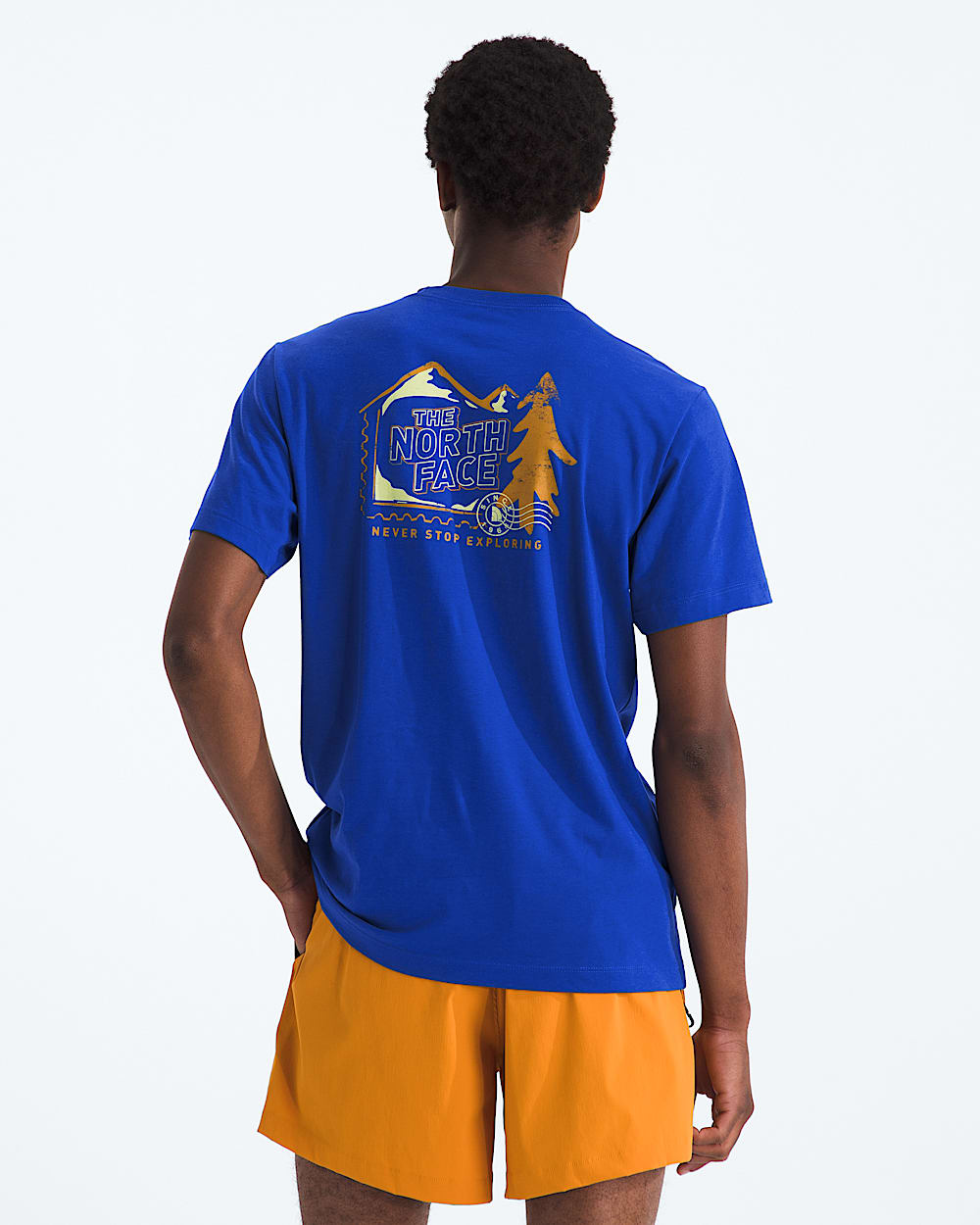 Mens Mountain Stamps Regular ShortSleeve Tee TNF Main