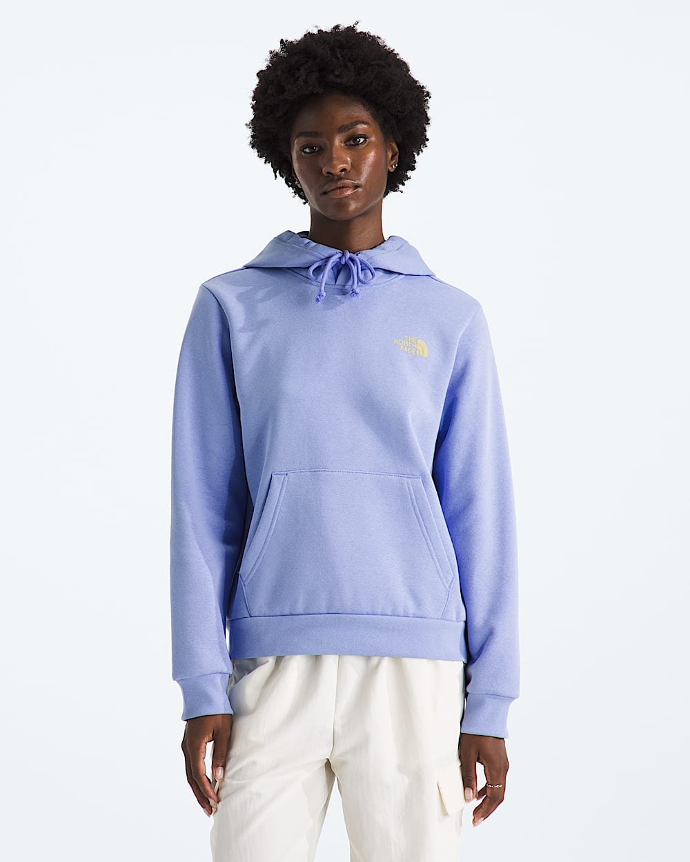 Womens Explore Pin Regular Hoodie TNF BACK