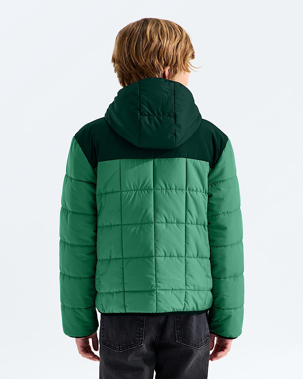 Boys Reversible Shasta FullZip Hooded Jacket TNF BACK