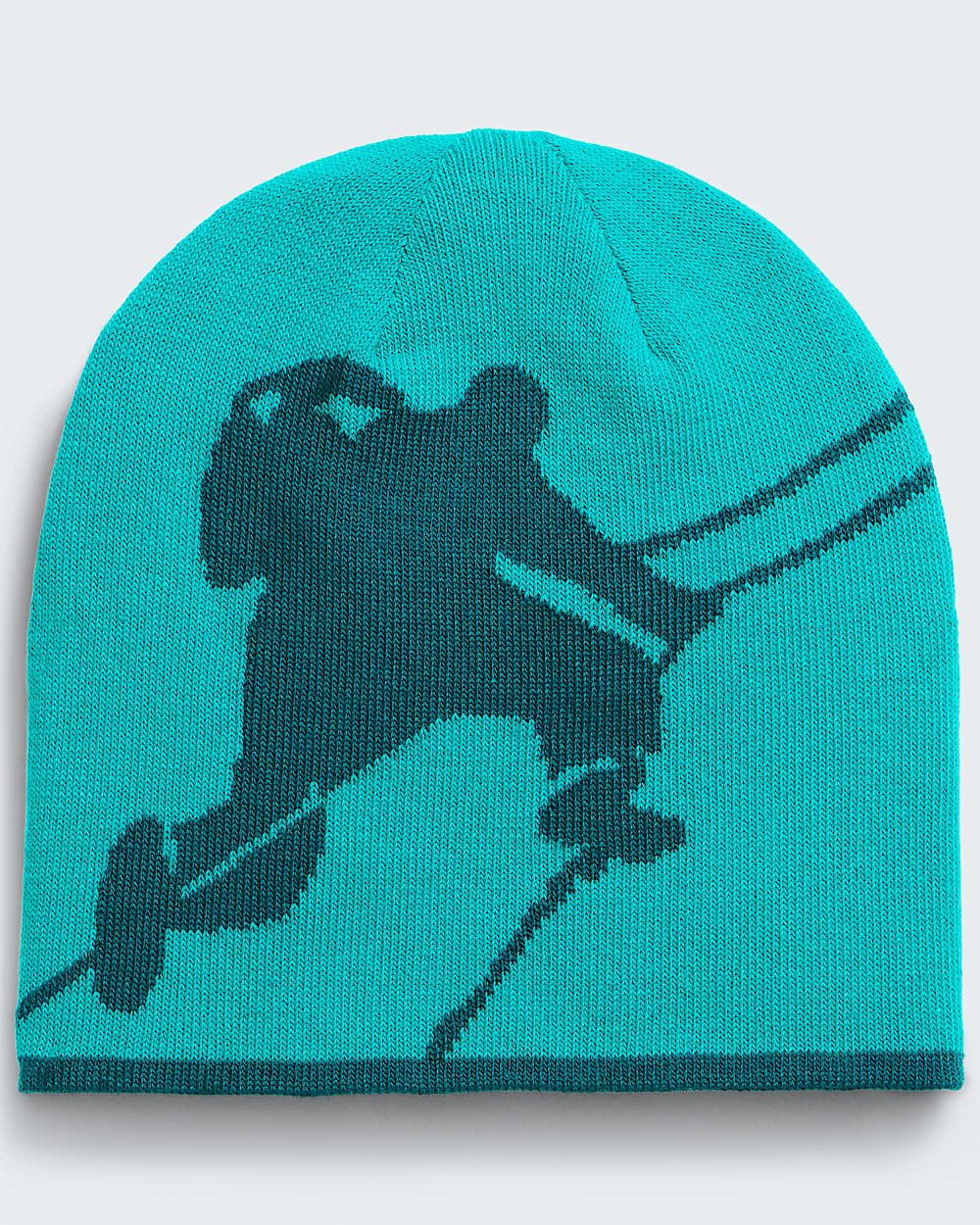 Reversible Highline Beanie TNF HEROREV