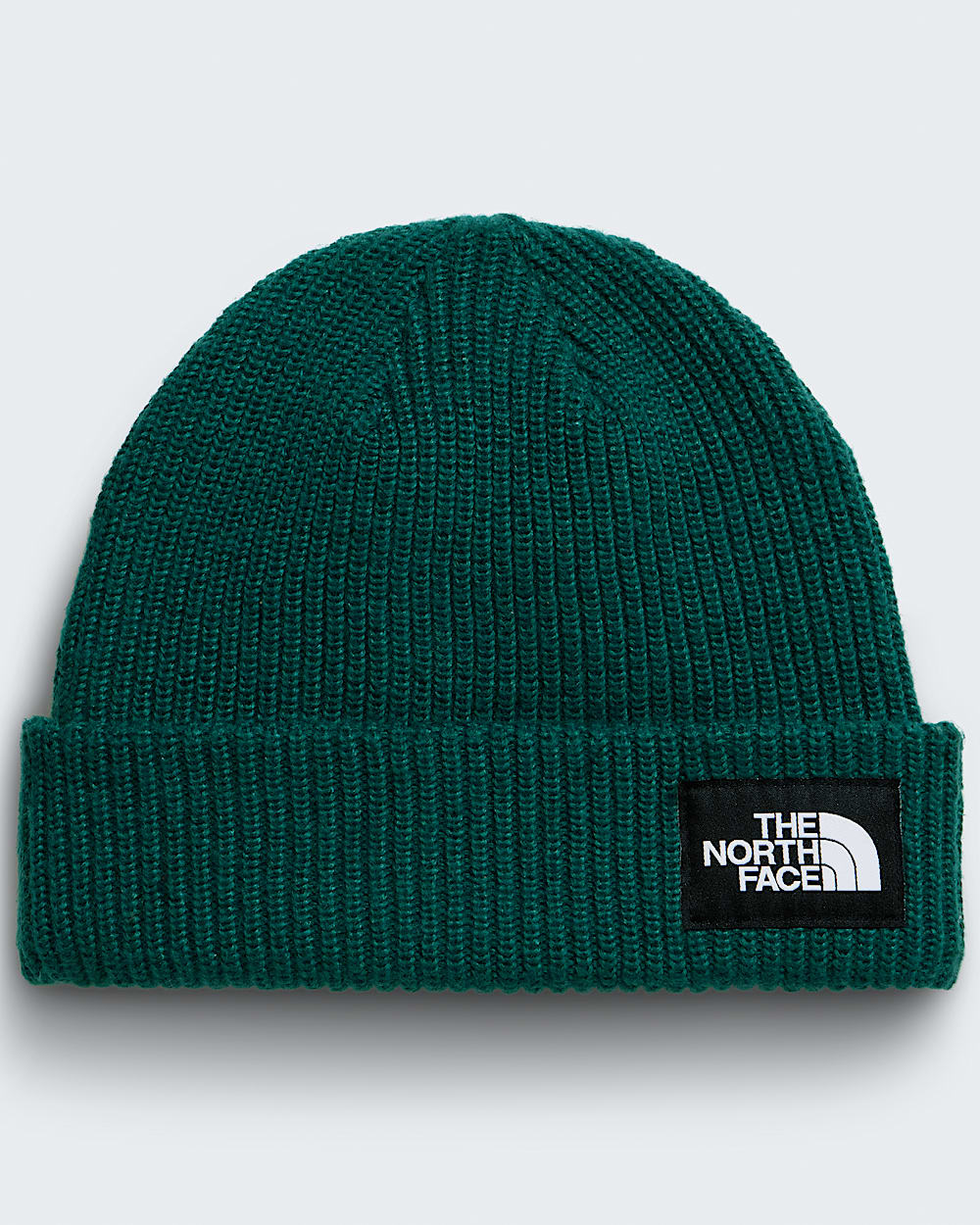 Salty Lined Beanie TNF HERO