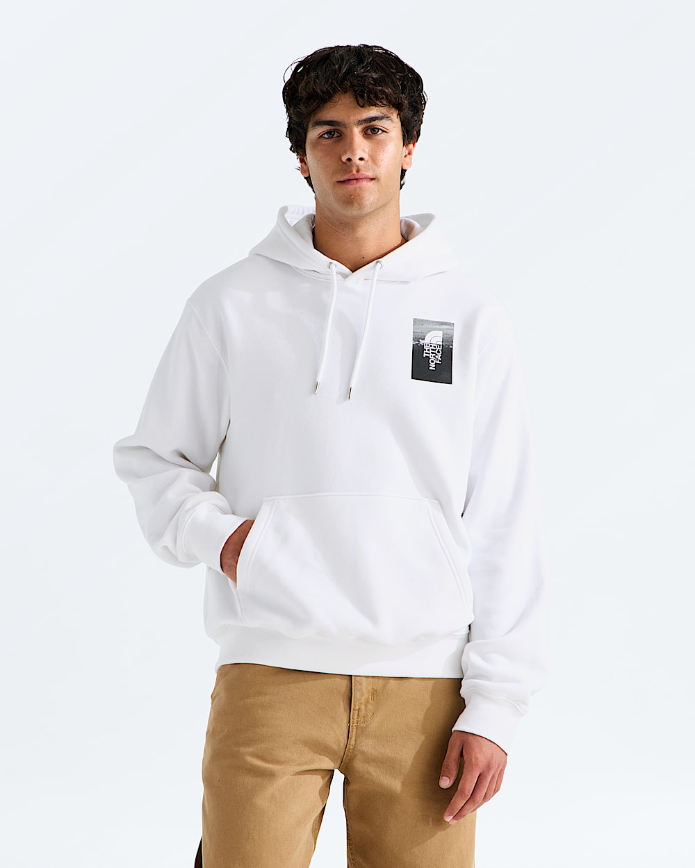 Mens Apex 75 Collage Relaxed Hoodie TNF BACK