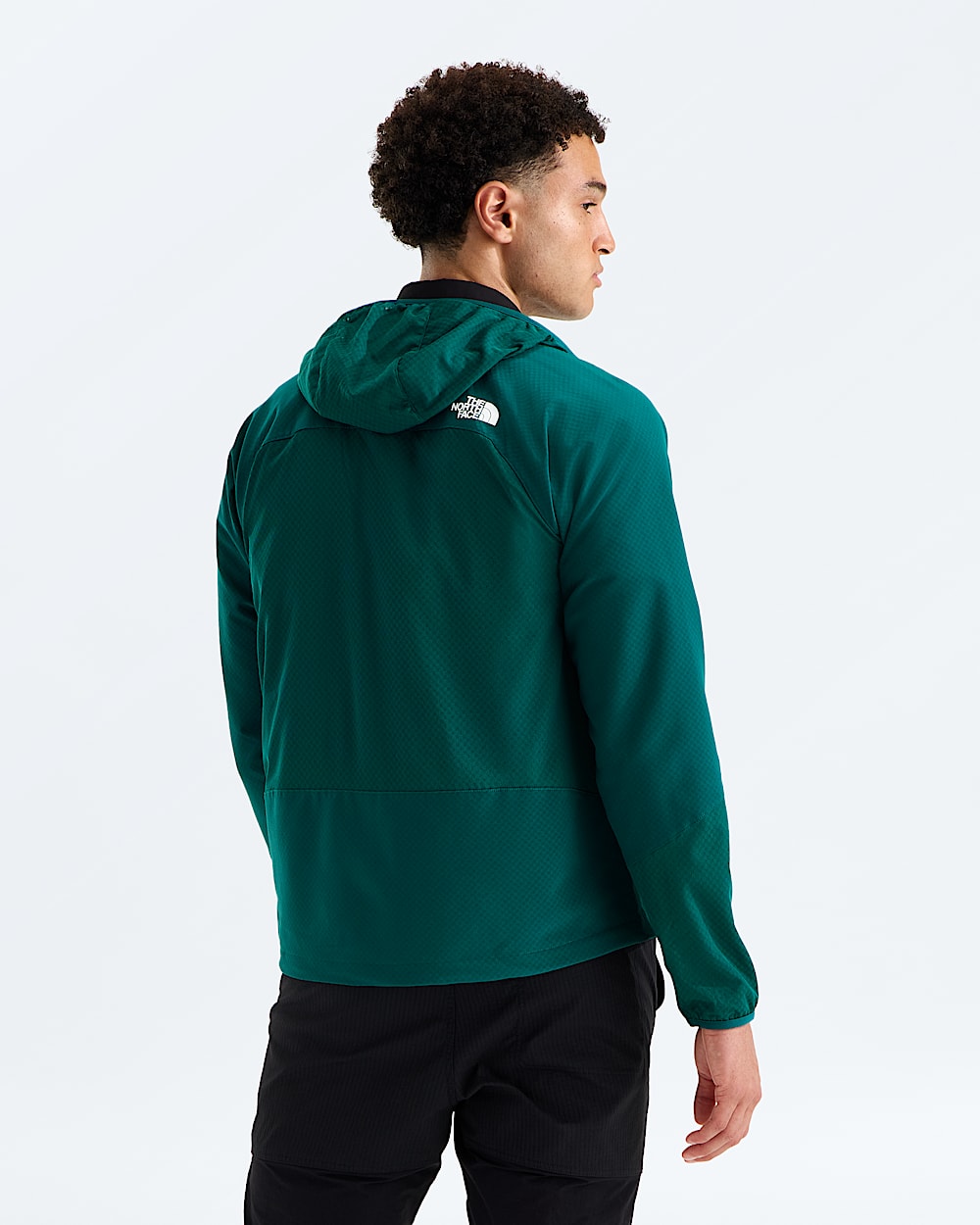Mens Tek Approach FUTUREFLEECE Hooded Jacket TNF BACK