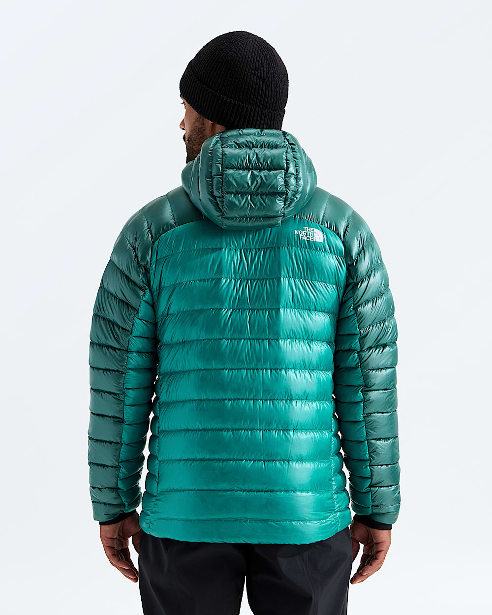 Mens Summit Series Breithorn Hoodie TNF BACK