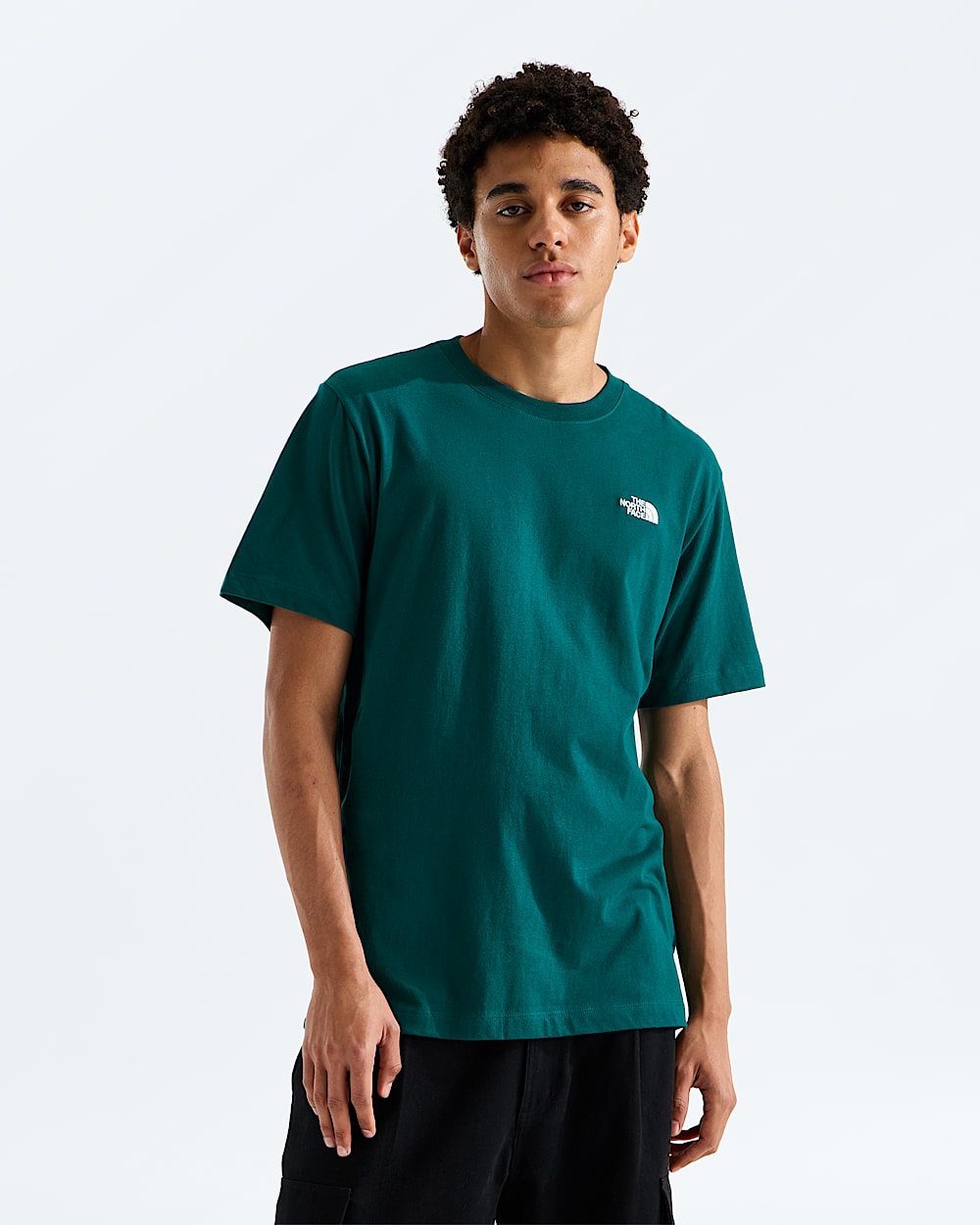 Mens Evolution Simple Dome Regular ShortSleeve Tee TNF HERO