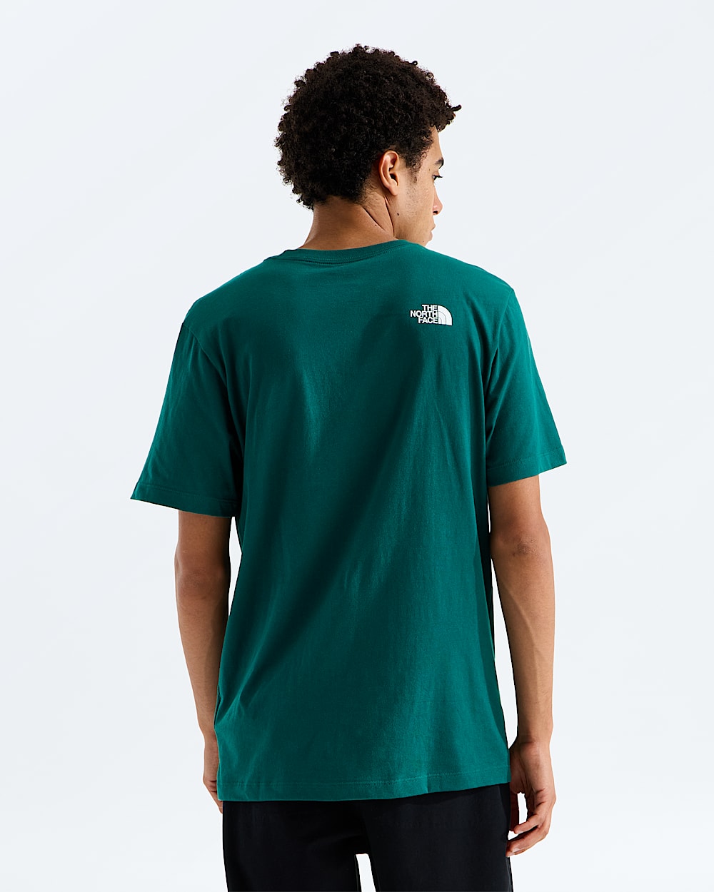 Mens NSE Regular ShortSleeve TeeGraphic TNF BACK