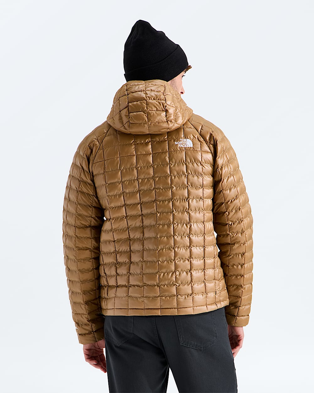 Mens THERMOBALL Hooded Jacket TNF BACK