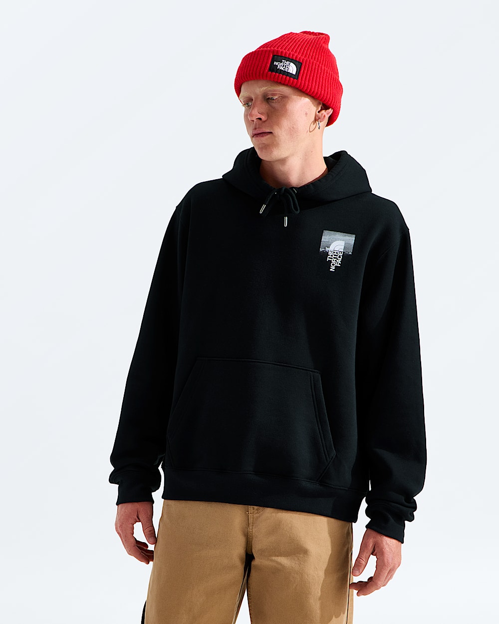 Mens Apex 75 Collage Relaxed Hoodie TNF BACK