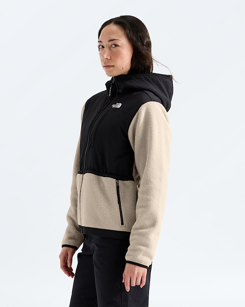 Chandail  capuche Retro Denali pour femmes TNF MODEL34