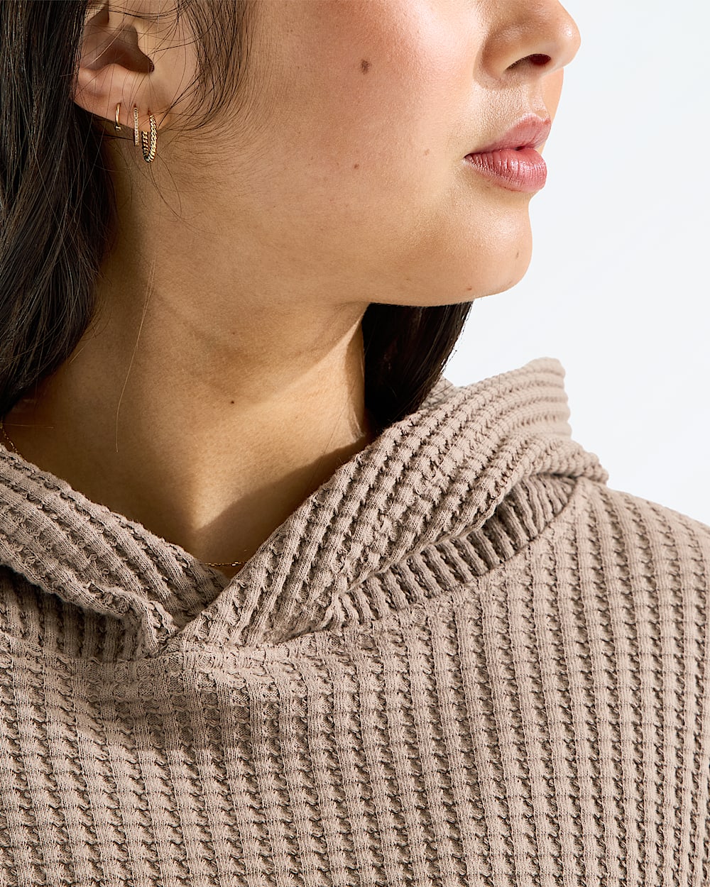 Chandail  capuchon Chabot 20 pour femmes TNF MODELCLOSE1