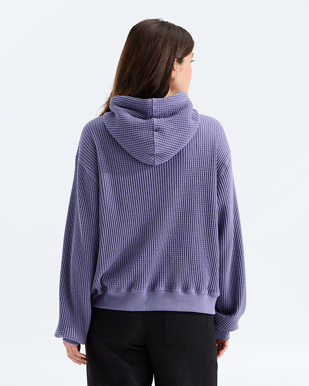 Womens Chabot 20 Hoodie TNF BACK