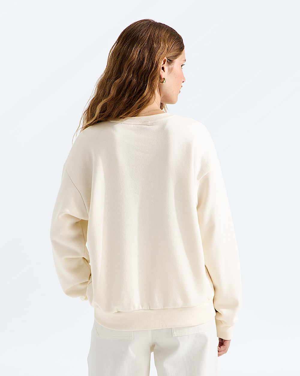 Womens Evolution Mountain Oasis Oversize Crew TNF BACK