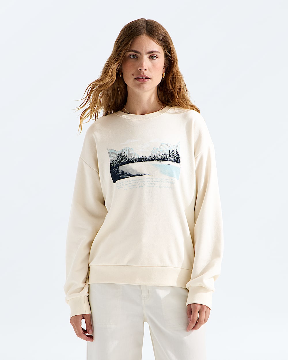 Womens Evolution Mountain Oasis Oversize Crew TNF Main