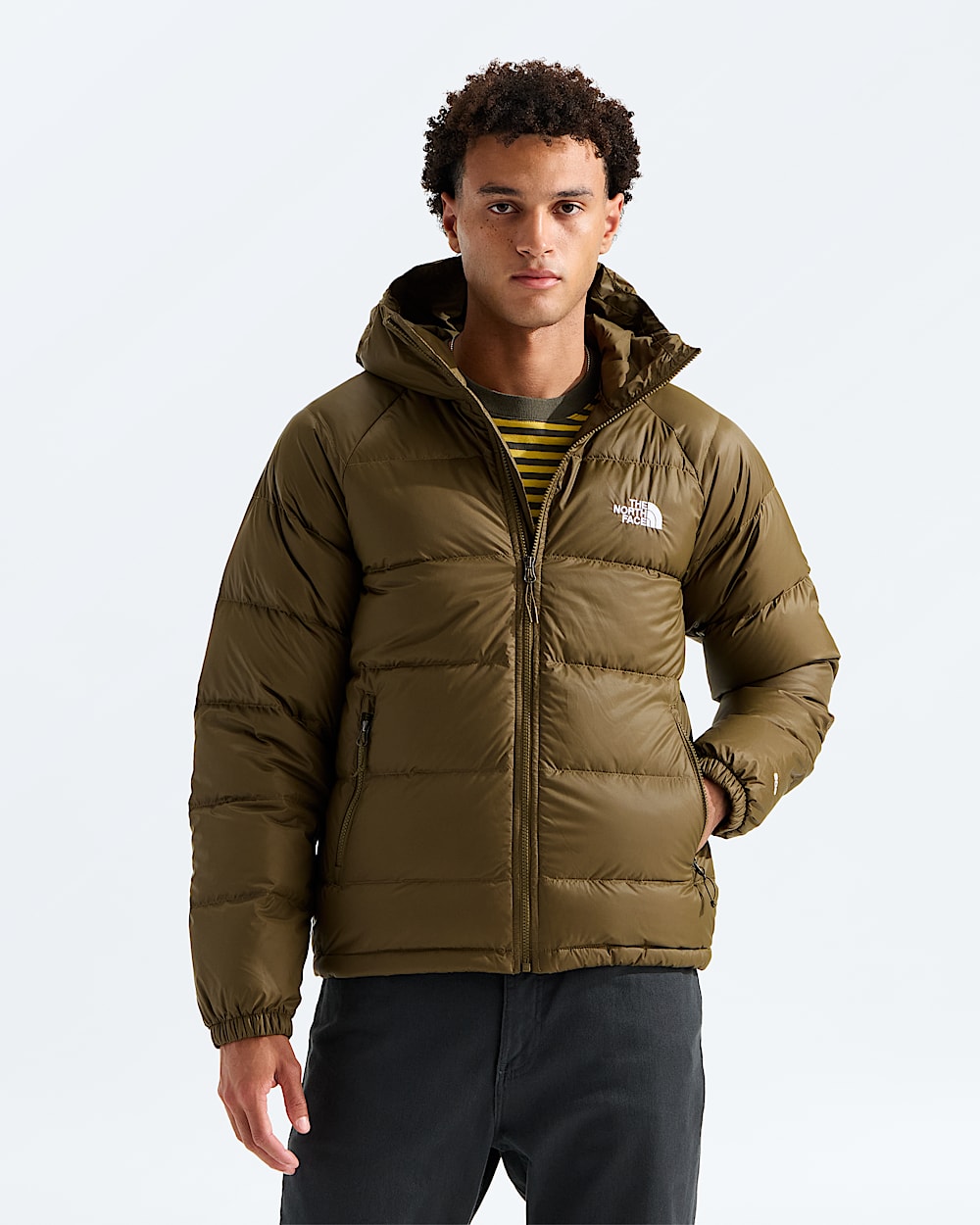 Mens Hydrenalite Down Hoodie TNF Main