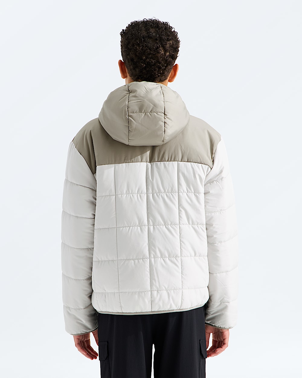 Boys Reversible Shasta FullZip Hooded Jacket TNF BACK