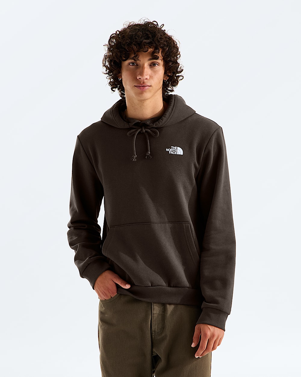 Mens Evolution Box NSE Regular Hoodie TNF BACK