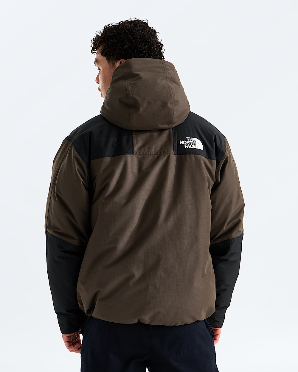 Mens Mountain Down Jacket TNF BACK