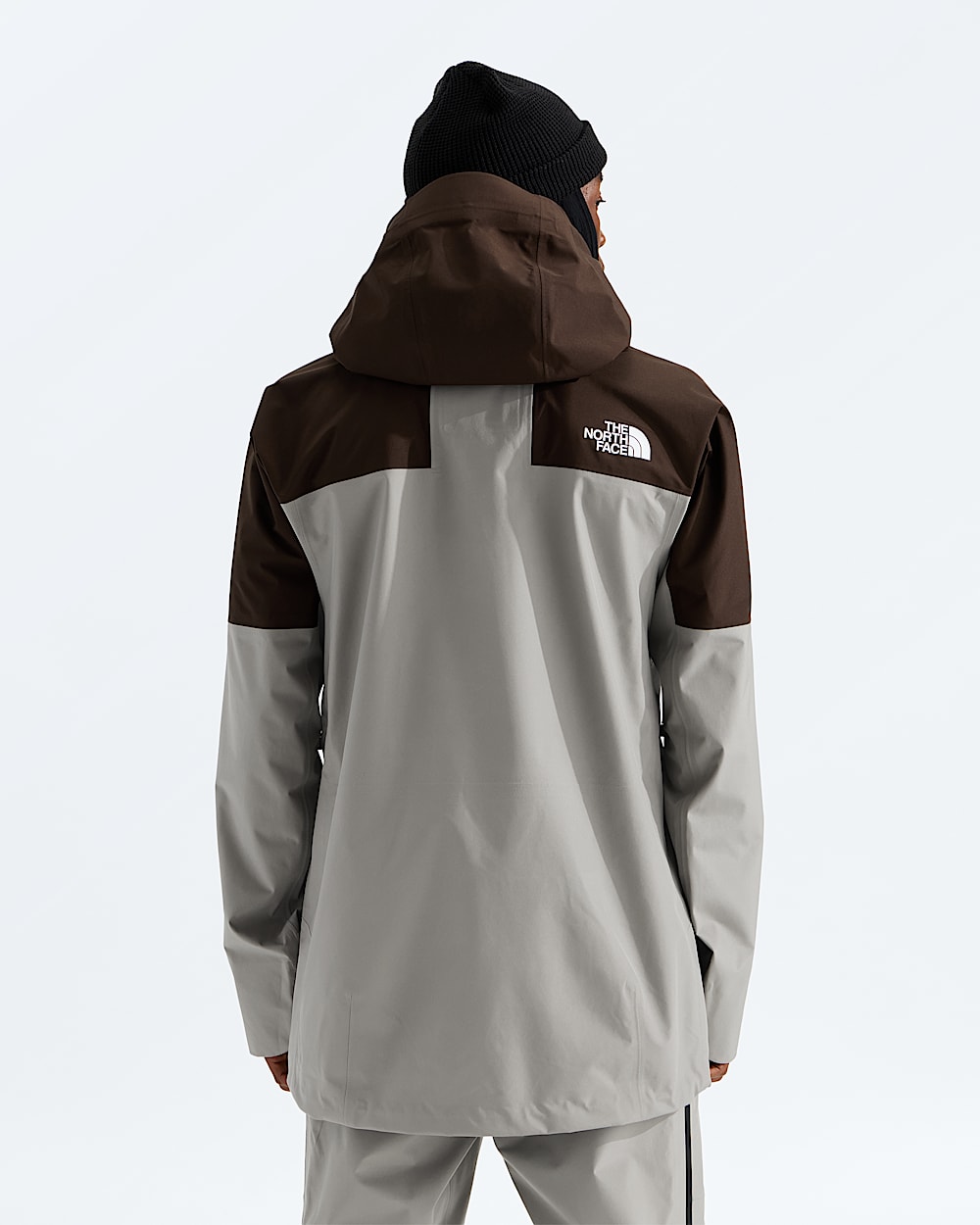 Mens Summit Eastwall GTX Jacket TNF BACK
