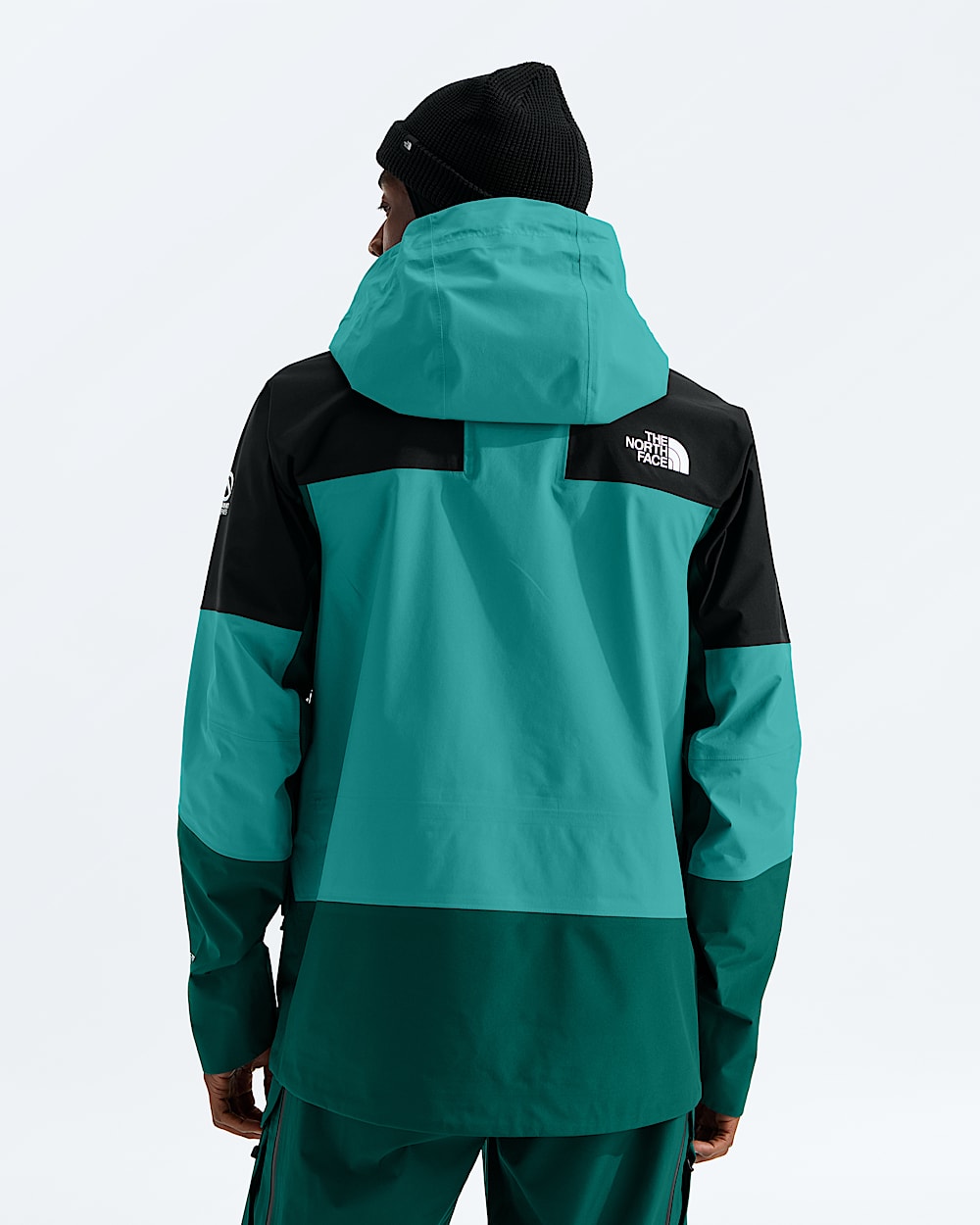 Mens Summit Series Verbier GORETEX Jacket TNF BACK