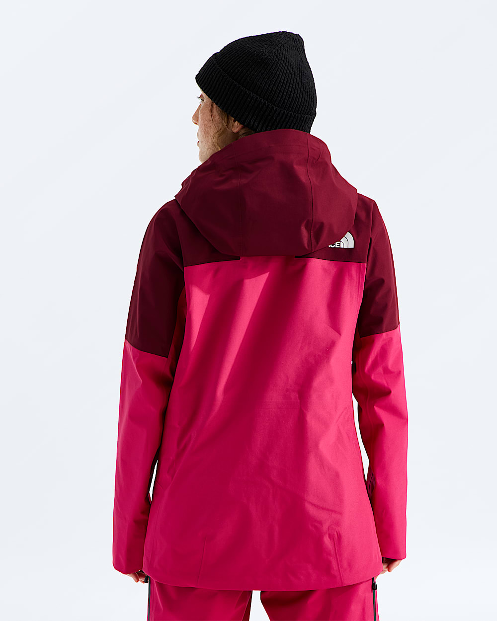 Womens Summit Eastwall GTX Jacket TNF BACK