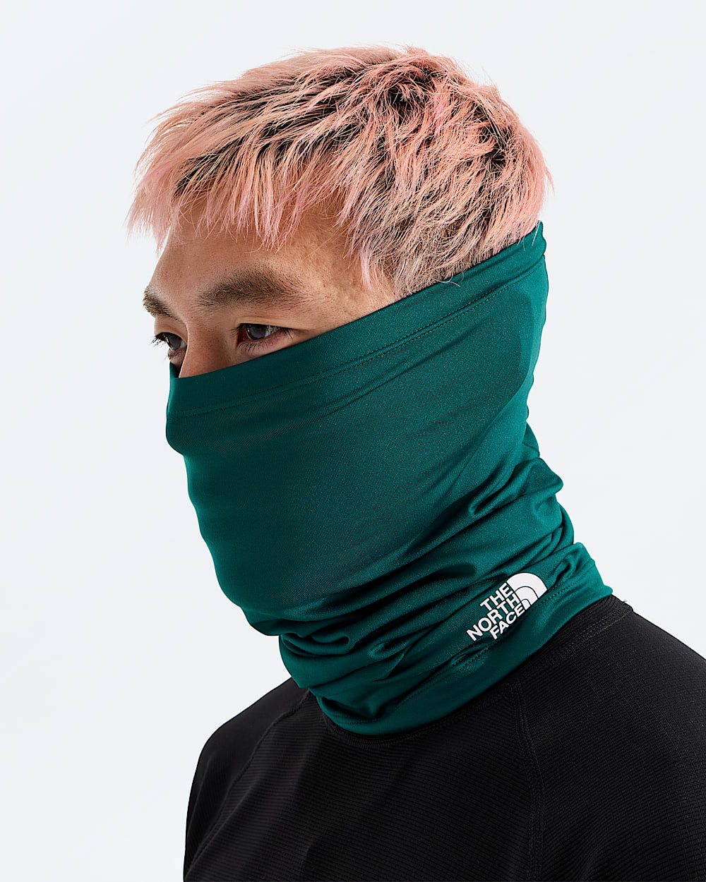 Dipsea Cover It TNF MODELBACK