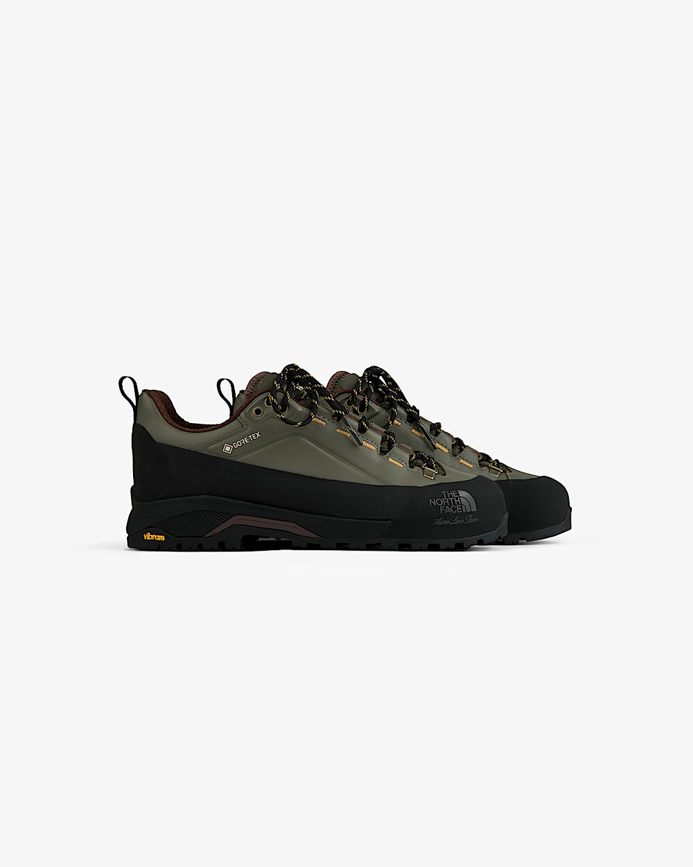 TNF X Aim Leon Dore Verto Alpine GORETEX Hiking Shoes TNF HERO