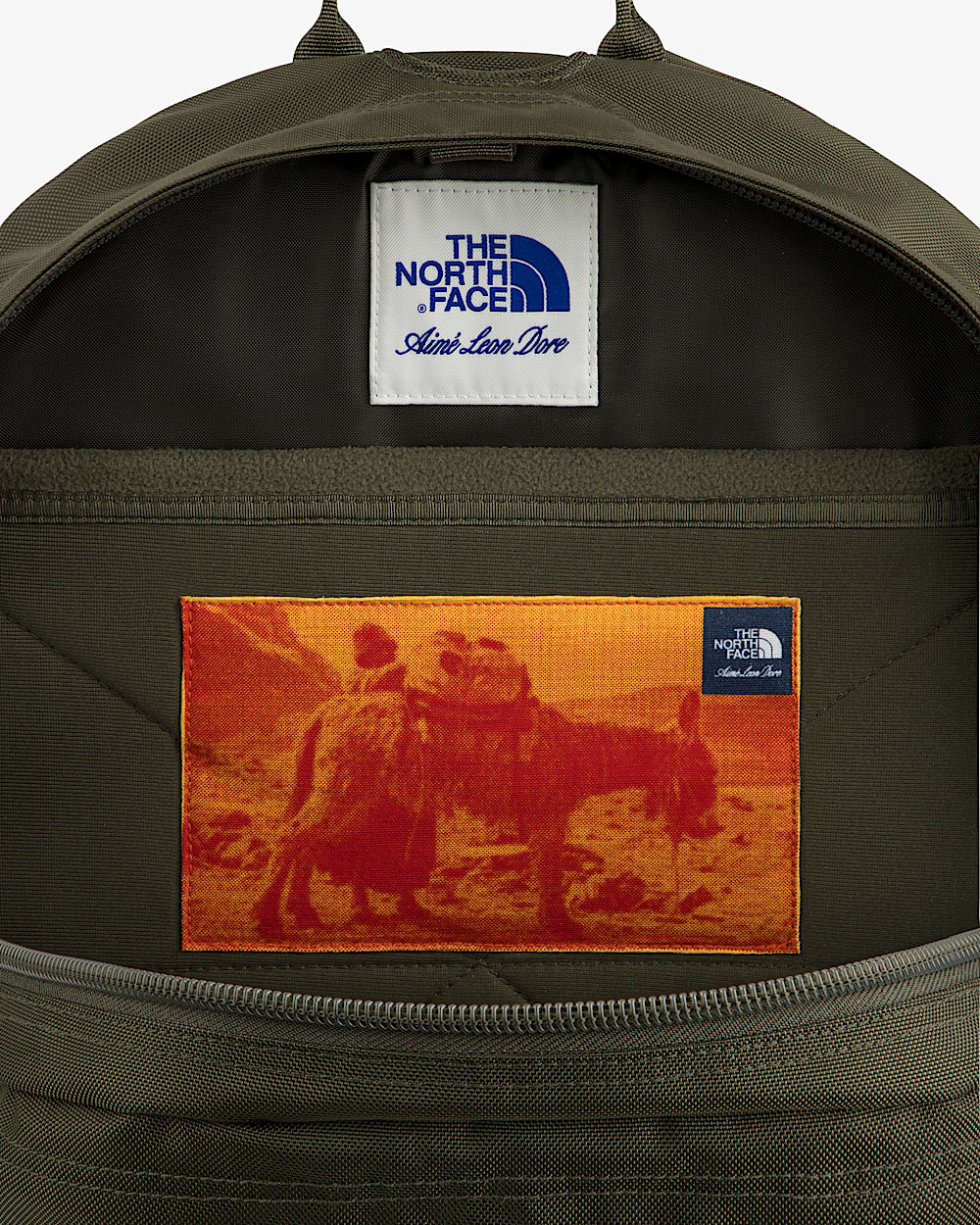 TNF X Aim Leon Dore Borealis Backpack TNF ALT1