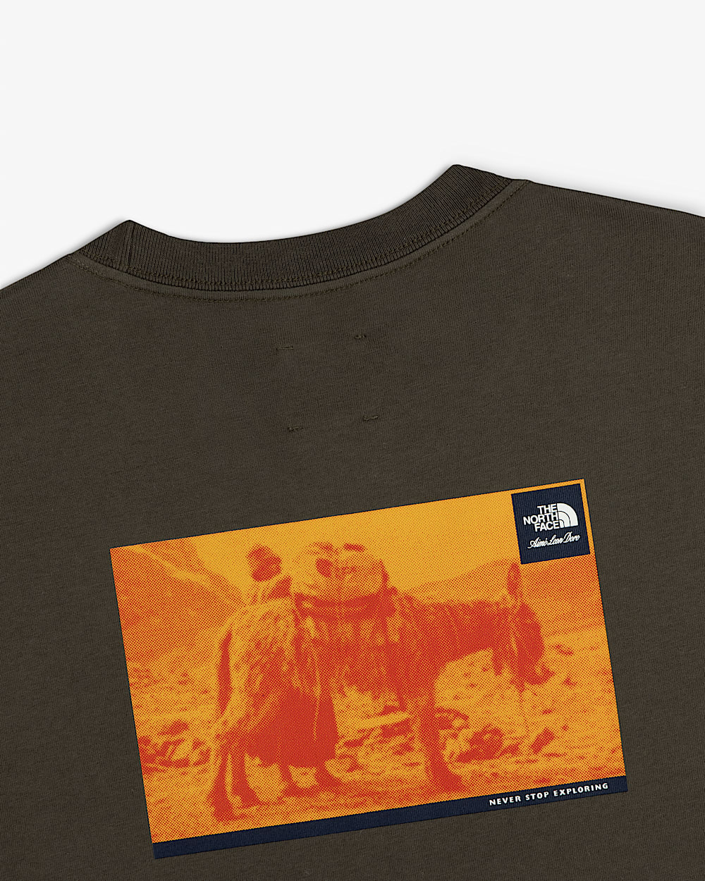 TNF X Aim Leon Dore Long Sleeve Tee TNF ALT2